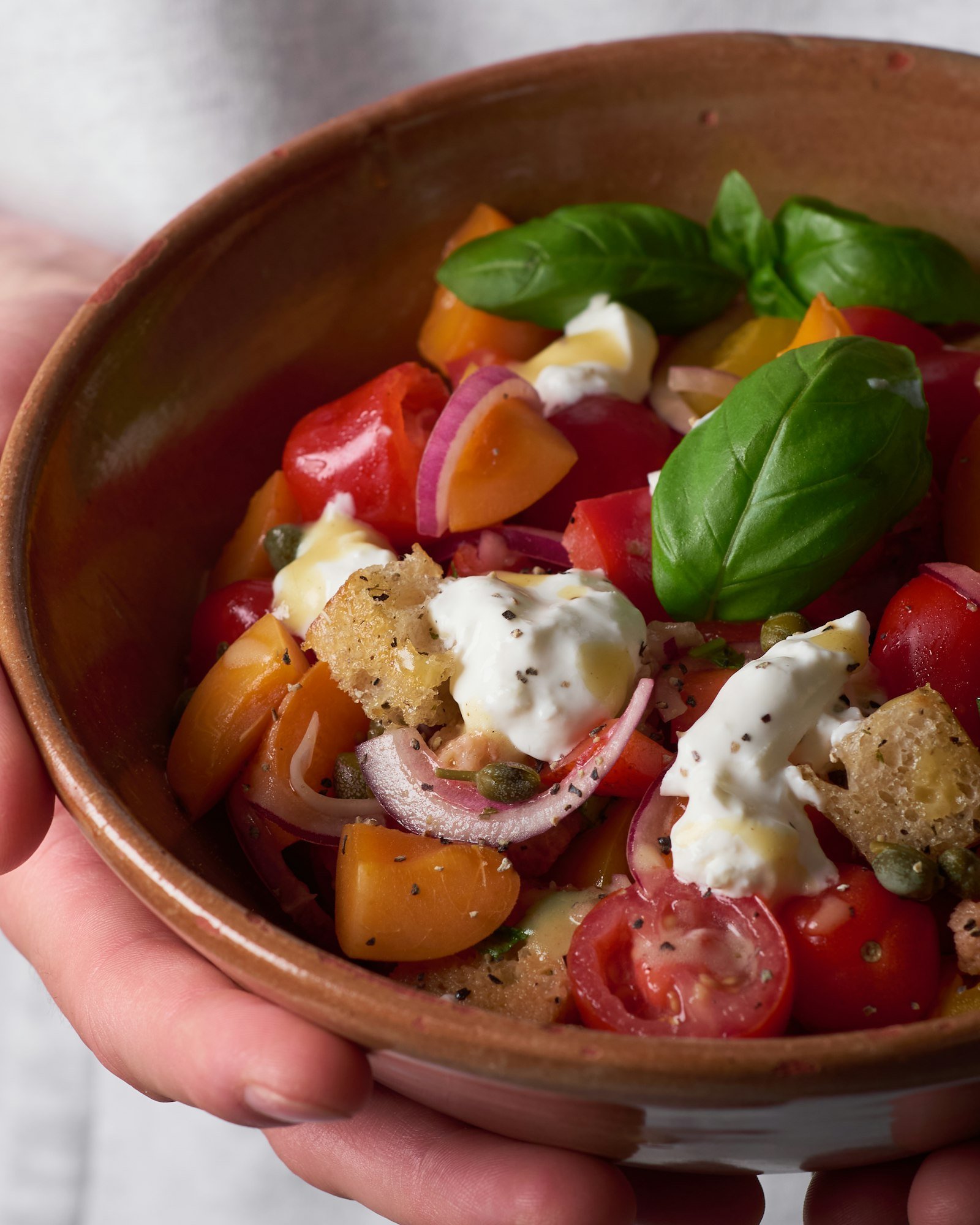 Ensalada de pan alemana con tomate y mozzarella
